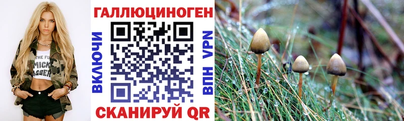 darknet официальный сайт  Курган  Псилоцибиновые грибы ЛСД 